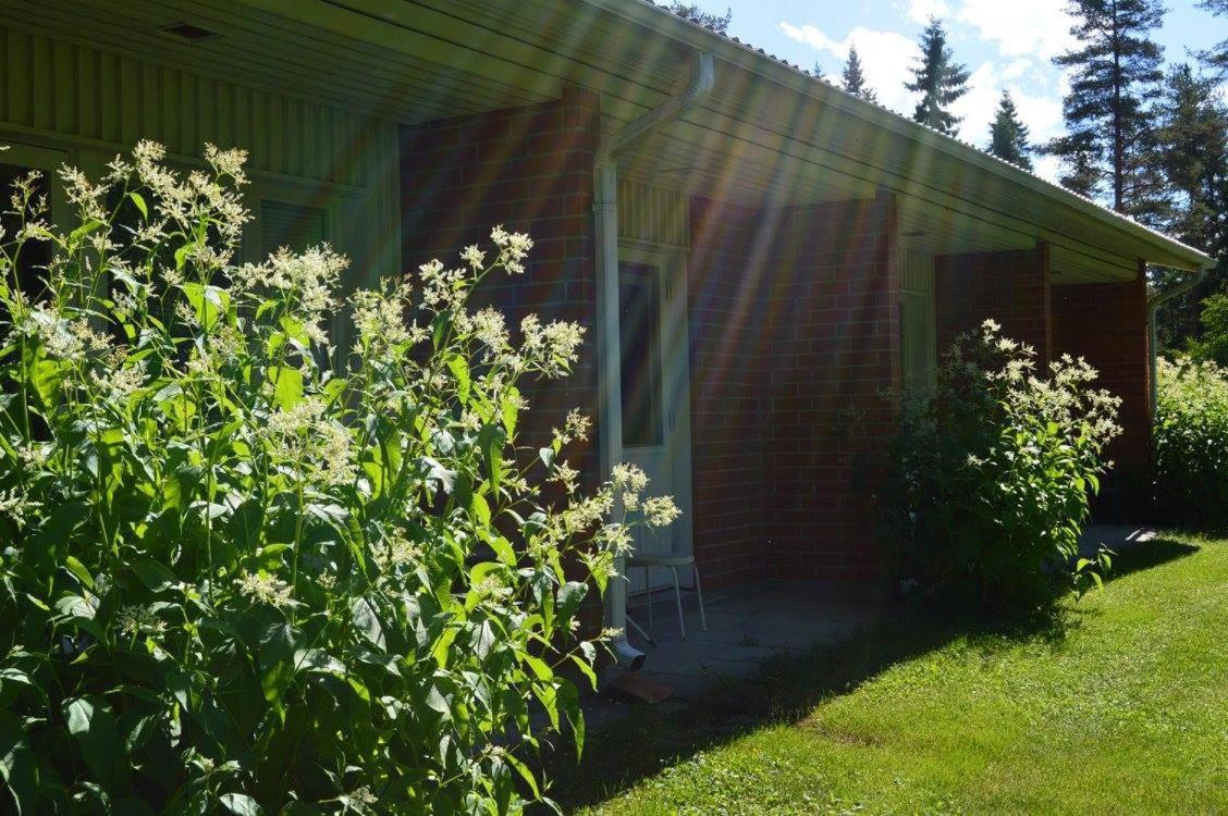 Hotelli Ravintola Tiilikka Rautavaara Exterior foto